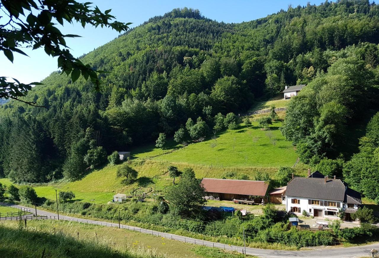 Gite Le Creux Chene Rombach-le-Franc Dış mekan fotoğraf