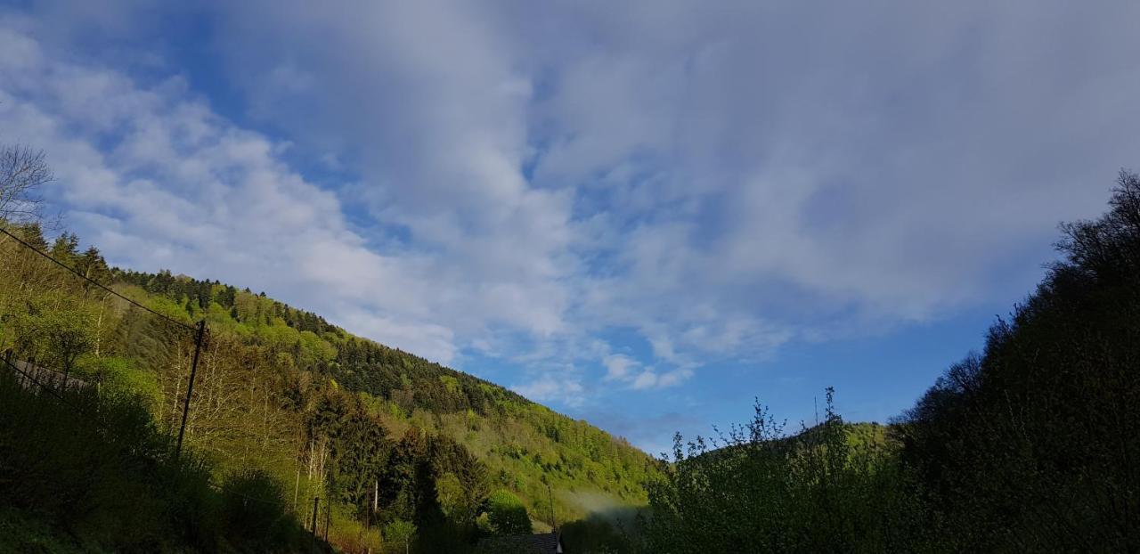 Gite Le Creux Chene Rombach-le-Franc Dış mekan fotoğraf